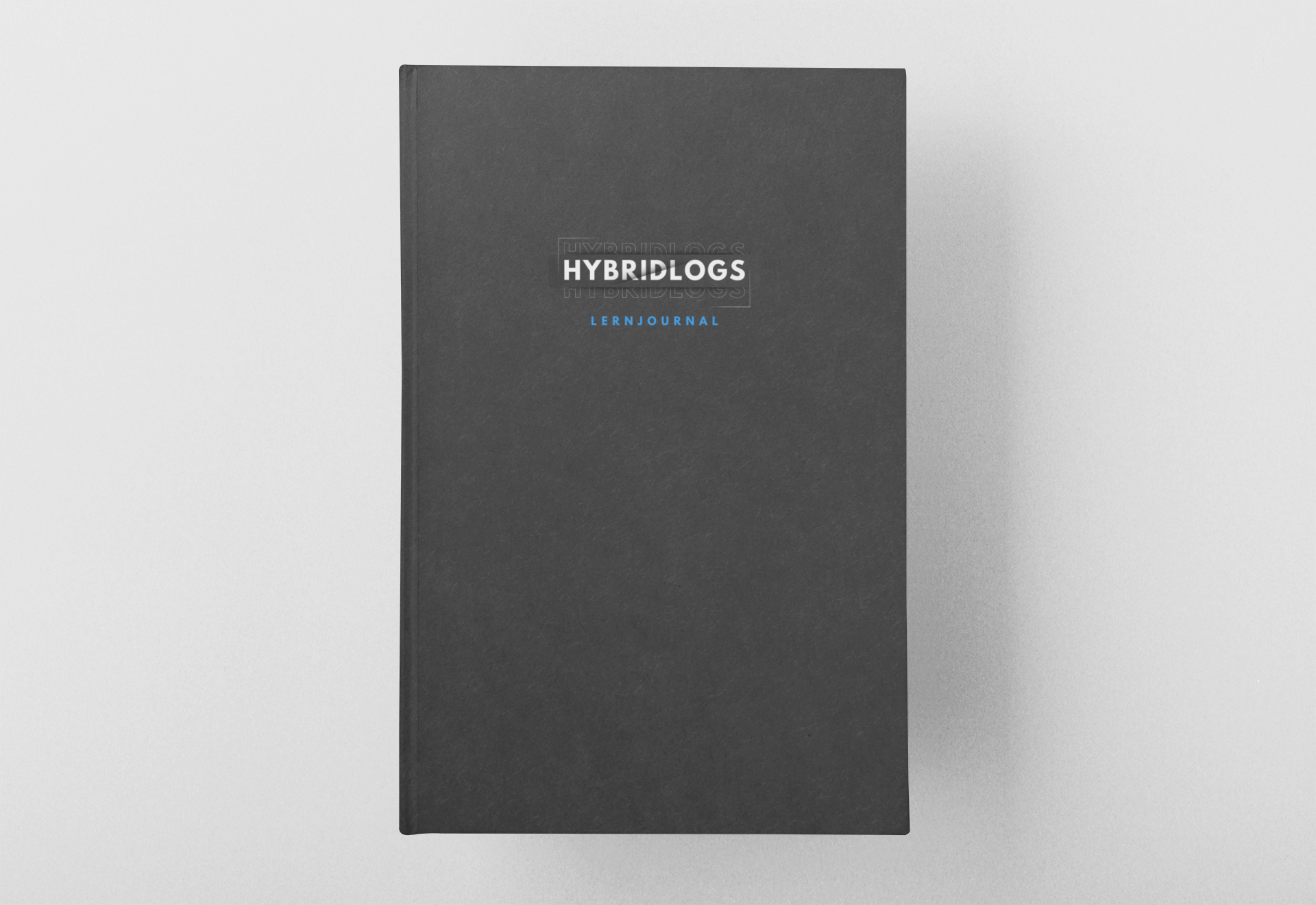 Hybridlogs Lernjournal